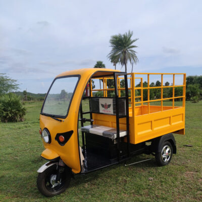 Vishala Loader E-Rickshaw With Grill