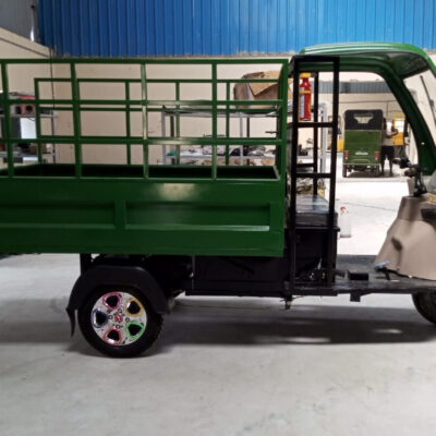 Vishala Loader e-Rickshaw Green